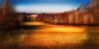 JCW: The glade out of the woods.